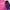 KC Color | Semi Permanent Hair Dye | Hummingbird (Bluish Purple) | 150 ml