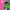 KC Color | Semi Permanent Hair Dye | Mantis (Neon Green) | 150 ml