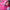 KC Color | Semi Permanent Hair Dye | Pony (Magenta) | 150 ml