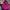 KC Color | Semi Permanent Hair Dye | Pony (Magenta) | 150 ml