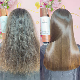 Ana Paula Carvalho | Perfecta Bio Definitive System | 12 Intense Anti-Frizz Oils | 1000 ml